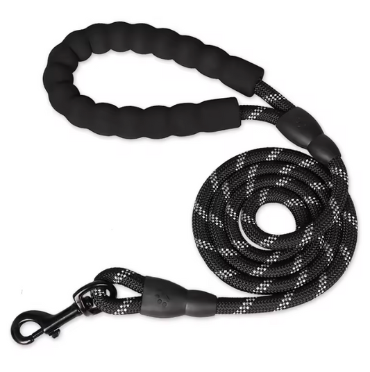 Pawb™ Adventure Lead